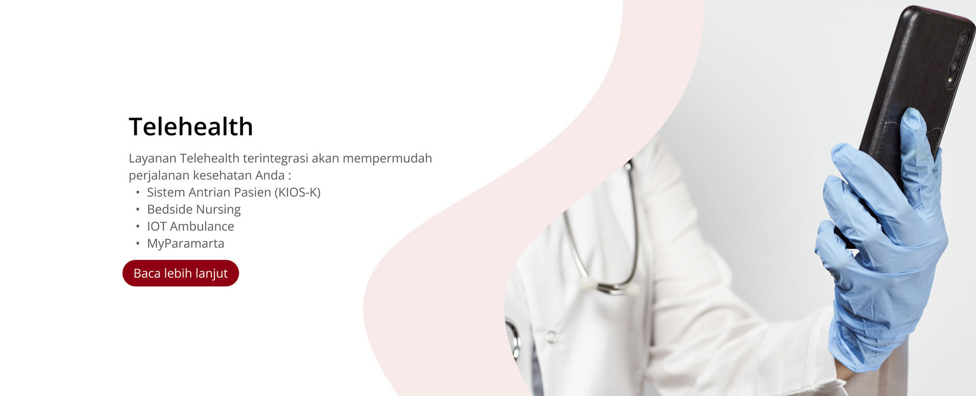 RSJP Paramarta Telehealth